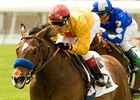 Tuscan Evening will try to add Grade I winner to her resume in the Gamely.<br><a target="blank" href="http://www.bloodhorse.com/horse-racing/photo-store?ref=http%3A%2F%2Fpictopia.com%2Fperl%2Fgal%3Fprovider_id%3D368%26ptp_photo_id%3D8896391%26ref%3Dstory">Order This Photo</a>