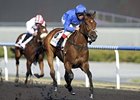Gamilati in the UAE 1000 Guineas