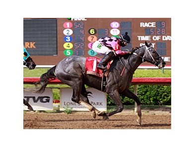 Master Rick will try for a third straight win in the Lone Star Park Handicap.