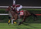 Seker Remziye wins the Turkish 1,000 Guineas.