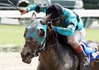 Another Romance, Citizen Advocate Top Azalea Another Romance, Citizen Advocate Top Azalea