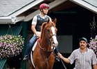 Shackleford