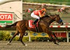 Even-money choice Lookin at Lucky remained unbeaten in three starts and gave trainer Bob Baffert his 9th win in the Del Mar Futurity.<br><a target="blank" href="http://www.bloodhorse.com/horse-racing/photo-store?ref=http%3A%2F%2Fpictopia.com%2Fperl%2Fgal%3Fprovider_id%3D368%26ptp_photo_id%3D8462032%26ref%3Dstory">Order This Photo.</a>