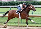2009 Kentucky Derby winner Mine That Bird will make his first 2010 start on the turf in the Firecracker Handicap.