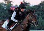 Orb
<br><a target="blank" href="http://photos.bloodhorse.com/AtTheRaces-1/at-the-races-2013/27257665_QgCqdh#!i=2785236649&k=8WPC2m2">Order This Photo</a>