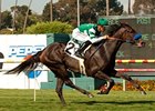 Lady of Shamrock Looks Solid in Del Mar Oaks Lady of Shamrock Looks Solid in Del Mar Oaks