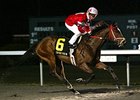 Positive Reponse and Julien Couton dominate the Battaglia at Turfway.