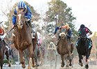 Mufajaah won the 2015 Pippin Stakes.