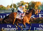 Dangerous Midge and Frankie Dettori cruise home in the Breeders' Cup Turf.<br><a target="blank" href="http://www.bloodhorse.com/horse-racing/photo-store?ref=http%3A%2F%2Fpictopia.com%2Fperl%2Fgal%3Fprovider_id%3D368%26ptp_photo_id%3D9267449%26ref%3Dstory"