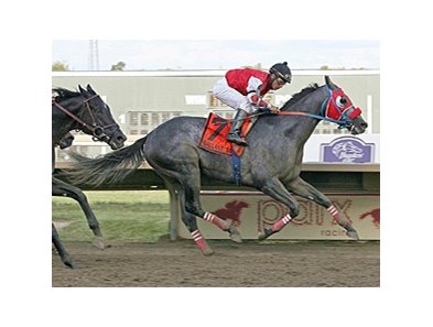 City of Weston and jockey Paco Lopez upset the Gallant Bob Stakes.