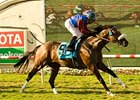 Ferneley Paints Masterpiece in Del Mar Mile Ferneley Paints Masterpiece in Del Mar Mile