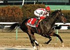 Summer Doldrums headlines the Presque Isle Mile.