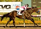 Cost of Freedom takes on 7 in the Sunshine Millions Sprint at Santa Anita.<br><a target="blank" href="http://www.bloodhorse.com/horse-racing/photo-store?ref=http%3A%2F%2Fpictopia.com%2Fperl%2Fgal%3Fprovider_id%3D368%26ptp_photo_id%3D9299209%26ref%3Dstory">Order This Photo</a>