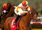 Bourbon Bay and Joe Talamo dominate the Cougar II.<br><a target="blank" href="http://www.bloodhorse.com/horse-racing/photo-store?ref=http%3A%2F%2Fpictopia.com%2Fperl%2Fgal%3Fprovider_id%3D368%26ptp_photo_id%3D9620827%26ref%3Dstory">Order This Photo</a>