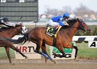 Saginaw will try for win 11 for 2012 in the Alex M. Robb Stakes at Aqueduct.<br><a target="blank" href="http://photos.bloodhorse.com/AtTheRaces-1/at-the-races-2012/22274956_jFd5jM#!i=2274267216&k=8hKCbkK">Order This Photo</a>