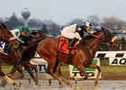 Captain Serious wins the Hollie Hughes Stakes.
<br><a target="blank"
href="http://photos.bloodhorse.com/AtTheRaces-1/At-the-Races-2015/i-d4jdBpJ">Order This Photo</a>