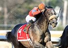 Win Willy finished first in the 2010 Razorback Handicap.