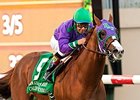 'Chrome' Among 388 Nominees for Royal Ascot 'Chrome' Among 388 Nominees for Royal Ascot