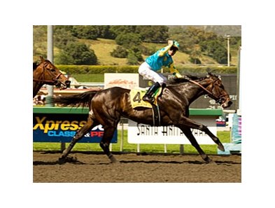 Santa Anita Derby winner Pioneerof the Nile will ship to Churchill Downs on April 14. <br><a target="blank" href="http://www.bloodhorse.com/horse-racing/photo-store?ref=http%3A%2F%2Fgallery.pictopia.com%2Fbloodhorse%2Fgallery%2FS637785%2Fphoto%2F7980443%2F%3Fo%3D2">Order This Photo</a>