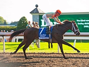 My Conquestadory Latest OBS Success for Casse My Conquestadory Latest OBS Success for Casse
