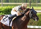 Speak Logistics faces 7 in the Calder Derby.