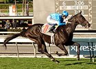 Bejarano to Ride Bolo in Kentucky Derby Bejarano to Ride Bolo in Kentucky Derby