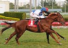 Adirondack Summer wins the 2011 Dania Beach Stakes.<br><a target="blank" href="http://www.bloodhorse.com/horse-racing/photo-store?ref=http%3A%2F%2Fpictopia.com%2Fperl%2Fgal%3Fprovider_id%3D368%26ptp_photo_id%3D9372831%26ref%3Dstory">Order This Photo</a>