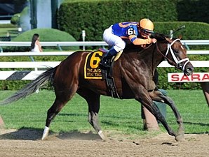 Stay Thirsty Dominates Jim Dandy Stay Thirsty Dominates Jim Dandy