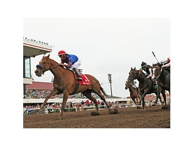 Mister Marti Gras rallies late to win the Mystic Lake Mile at Canterbury Park.