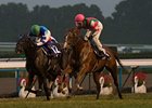Rainbow Dahlia upsets Verxina in the Diamond Jubilee renewal of the Queen Elizabeth II Cup at Kyoto Racecourse on November 11th, 2012.
<br><a target="blank" href="http://photos.bloodhorse.com/AtTheRaces-1/at-the-races-2012/22274956_jFd5jM#!i=2208611407&k