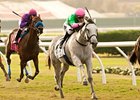 Discreet Marq won her only start on the Del Mar grass, the 2013 Del Mar Oaks.