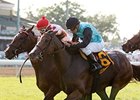Denomination Rallies for Violet Stakes Win Denomination Rallies for Violet Stakes Win