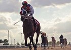 Sr. Quisqueyano Romps in Calder Derby Sr. Quisqueyano Romps in Calder Derby