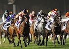 Ortensia (far left) passes them all to win the Al Quoz Sprint.