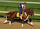 Square Eddie is one of five Kentucky Derby contenders that meet the "dual qualifier" conditions.