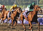Raven's Pass leaves Curlin behind in the Breeders' Cup Classic.<br><a target="blank" href="http://www.bloodhorse.com/horse-racing/photo-store?ref=http%3A%2F%2Fpictopia.com%2Fperl%2Fgal%3Fprovider_id%3D368%26ptp_photo_id%3D6458912%26ref%3Dstory">Order This Photo</a>