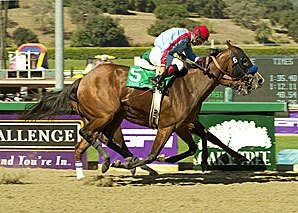 Baffert, Sadler Have 'Canada Option Baffert, Sadler Have 'Canada Option