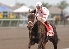 Amen Hallelujah takes on 7 rivals in the Sabin Stakes.<br><a target="blank" href="http://www.bloodhorse.com/horse-racing/photo-store?ref=http%3A%2F%2Fpictopia.com%2Fperl%2Fgal%3Fprovider_id%3D368%26ptp_photo_id%3D8813163%26ref%3Dstory">Order This Photo</a>