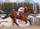 Laus Deo comes home strong in the Count Fleet.<br><a target="blank" href="http://www.bloodhorse.com/horse-racing/photo-store?ref=http%3A%2F%2Fpictopia.com%2Fperl%2Fgal%3Fprovider_id%3D368%26ptp_photo_id%3D8725991%26ref%3Dstory">Order This Photo</a>