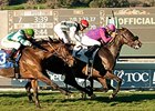 Fanticola's last victory came in the Jan. 17 Megahertz Stakes.