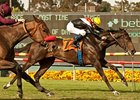 Marketing Mix wins the Gamely Stakes.