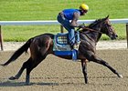 Zayat Hopes Paynter is His Masterpiece Zayat Hopes Paynter is His Masterpiece