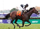 Humble and Hungry and Jose Lezcano take the Commonwealth Turf Stakes at Churchill Downs.