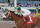 Mucho Macho Man