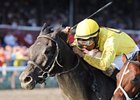 Quick Wit won the off-the-turf running of the National Museum of Racing Hall of Fame on Aug. 10.<br><a target="blank" href="http://photos.bloodhorse.com/AtTheRaces-1/at-the-races-2012/22274956_jFd5jM#!i=2018011364&k=jKp9r5w">Order This Photo</a>