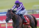 Camelot
<br><a target="blank" href="http://photos.bloodhorse.com/AtTheRaces-1/at-the-races-2012/22274956_jFd5jM#!i=1936981311&k=8NSBSr7">Order This Photo</a>
