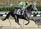 Blofeld wins the Nashua Stakes.
<br><a target="blank" href="http://photos.bloodhorse.com/AtTheRaces-1/At-the-Races-2014/i-wJ6rTqc">Order This Photo</a>