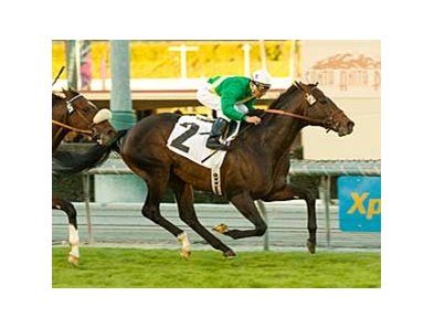 Proudinsky, with Rafael Bejarano aboard, wins the San Gabriel on Dec. 28 at Santa Anita. <br><a target="blank" href="http://www.bloodhorse.com/horse-racing/photo-store?ref=http%3A%2F%2Fpictopia.com%2Fperl%2Fgal%3Fprovider_id%3D368%26ptp_photo_id%3D7238077%0D%0A%26ref%3Dstory">Order This Photo</a>