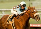 Aggie Engineer and Joe Talamo take the Native Diver.<br><a target="blank" href="http://www.bloodhorse.com/horse-racing/photo-store?ref=http%3A%2F%2Fpictopia.com%2Fperl%2Fgal%3Fprovider_id%3D368%26ptp_photo_id%3D9316961%26ref%3Dstory">Order This Photo</a>