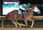 Lucy's Bob Boy faces a full field in the West Virginia Breeders' Classic.